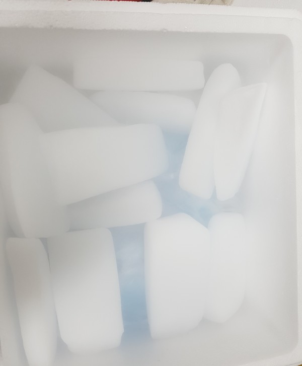 619487e6609f784259ed2628d007ab73_1503890968_4615.jpg